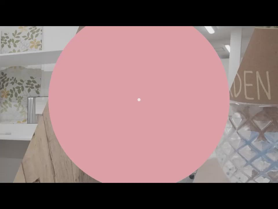 ヒメイログループのお仕事解説動画