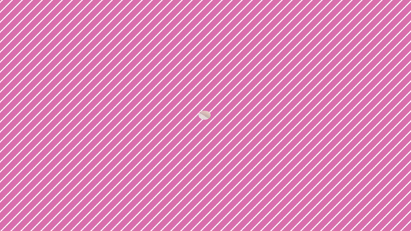 石庭に在籍する女の子のお仕事紹介動画