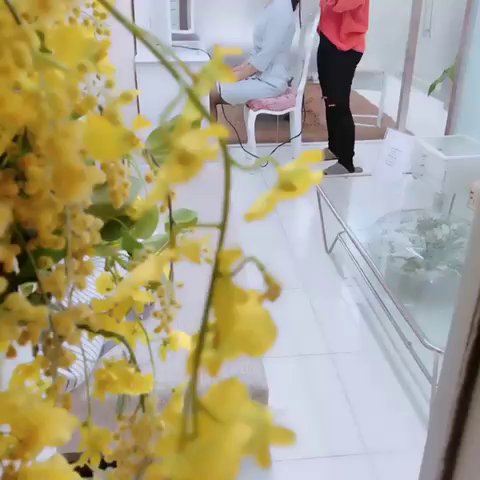 東京ヒストリー lettre d'amourの求人動画