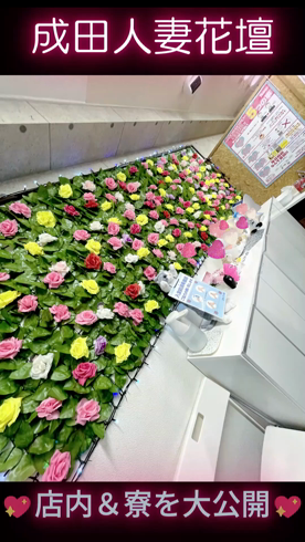 成田人妻花壇（モアグループ）のお仕事解説動画