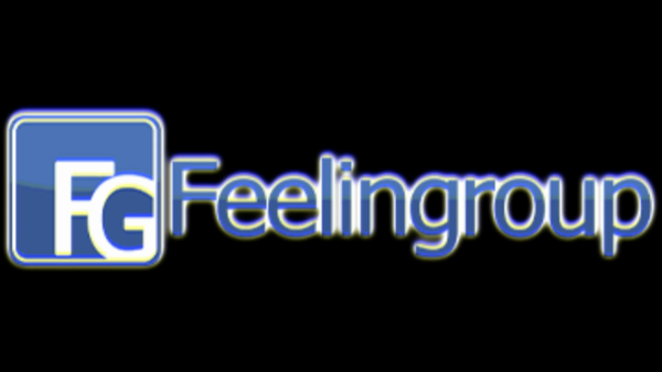 フィーリングループ（東京エリア）のお仕事解説動画