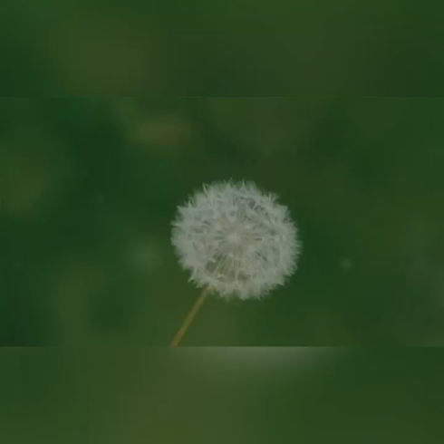 秘書と社長のお仕事解説動画
