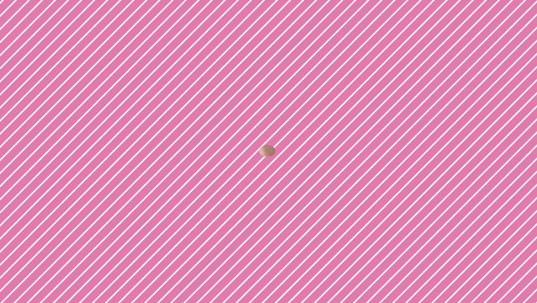 アイドル彼女に在籍する女の子のお仕事紹介動画