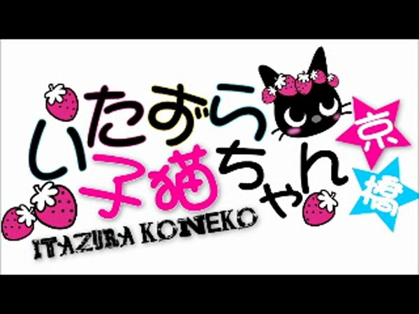 いたずら子猫ちゃん 難波店の求人動画