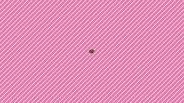 JAPANCLUB プレイボーイに在籍する女の子のお仕事紹介動画