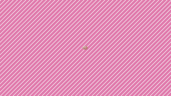 JAPANCLUB プレイボーイに在籍する女の子のお仕事紹介動画