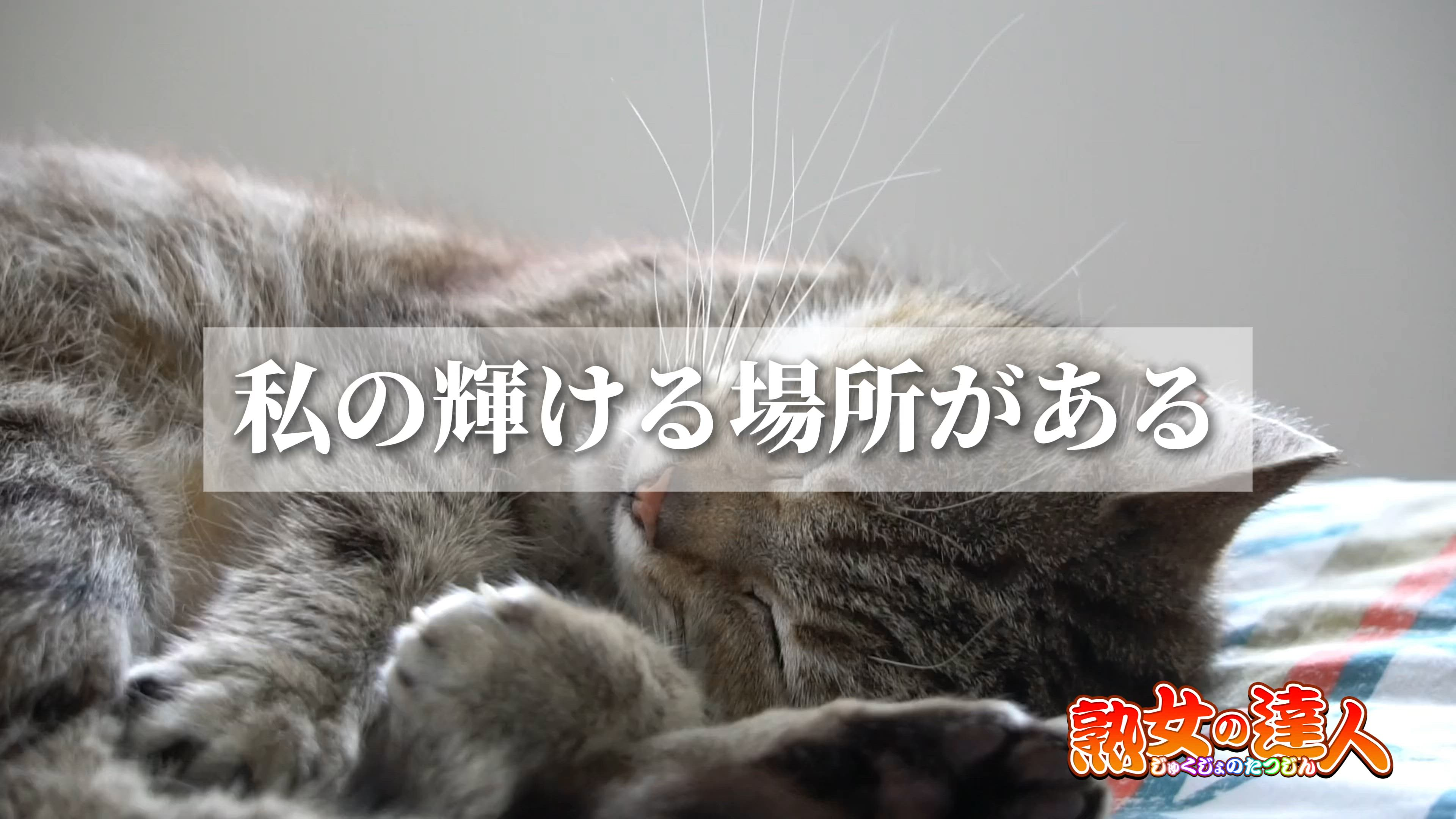 熊谷 熟女の達人のお仕事解説動画