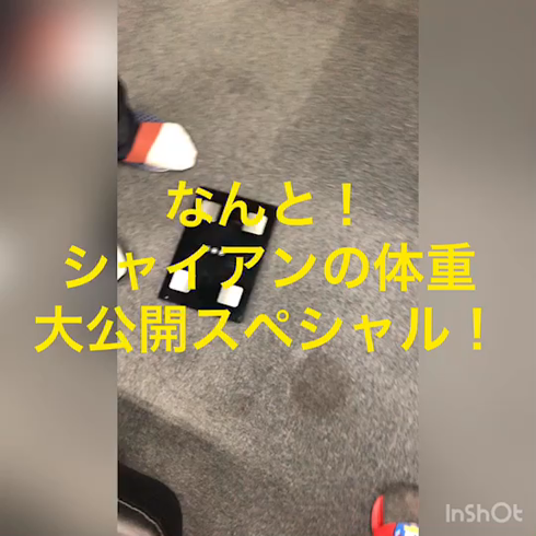 カミチチ 7のお仕事解説動画