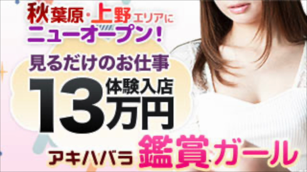 秋葉原 鑑賞ガールのお仕事解説動画