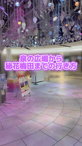 秘花 梅田店のお仕事解説動画