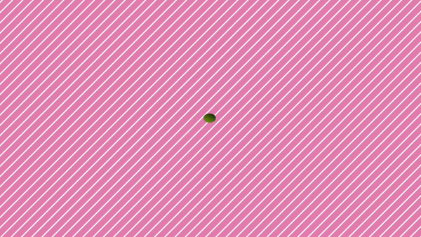 貴婦人倶楽部に在籍する女の子のお仕事紹介動画