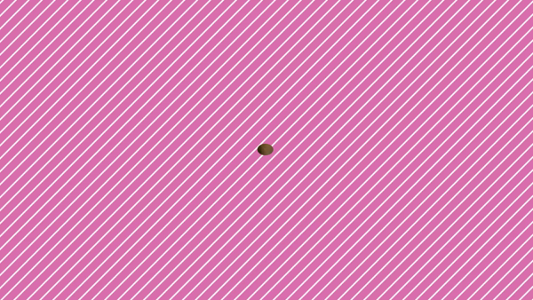 恋女房に在籍する女の子のお仕事紹介動画