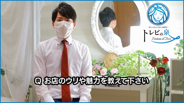 トレビの泉のお仕事解説動画