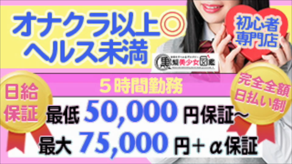 黒髪美少女図鑑のお仕事解説動画