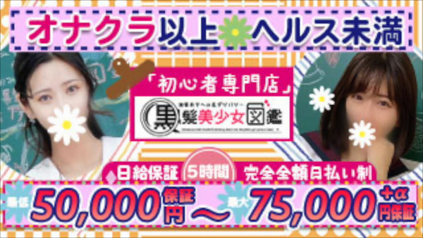 黒髪美少女図鑑のお仕事解説動画