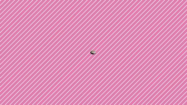 京都右京・沓掛インターちゃんこに在籍する女の子のお仕事紹介動画