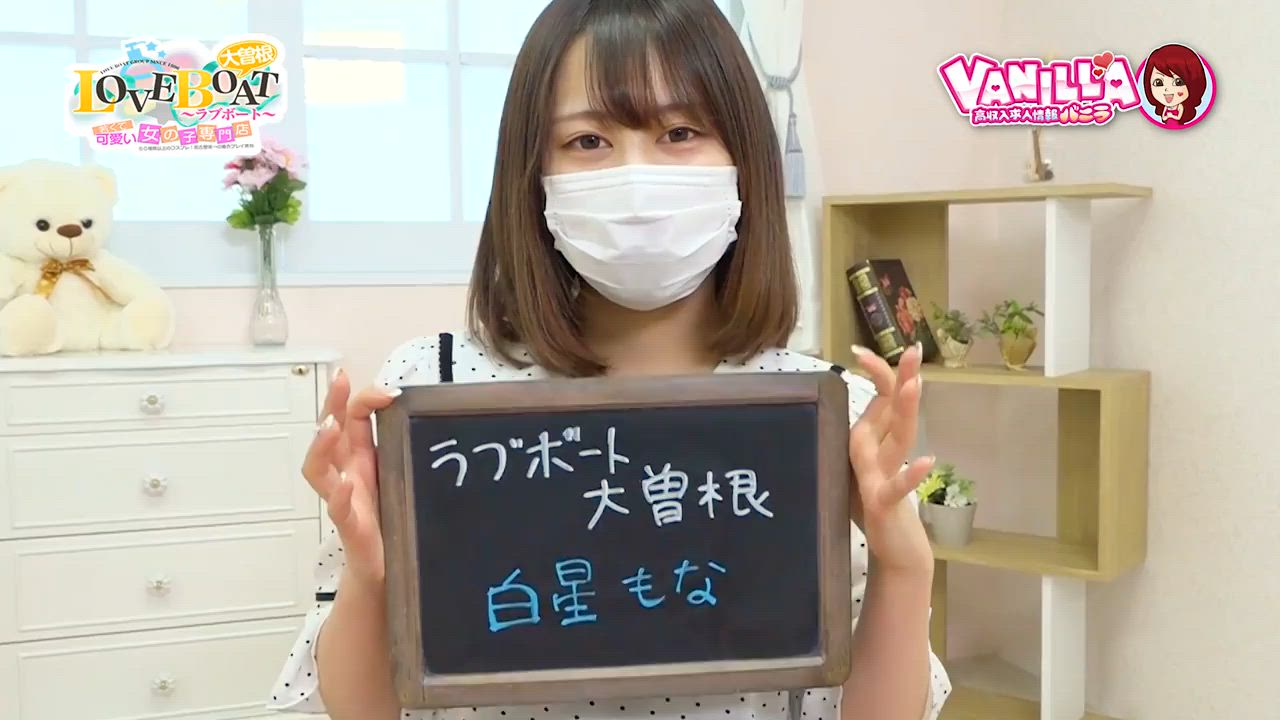 ラブボートグループのお仕事解説動画