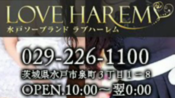 ラブハーレムのお仕事解説動画