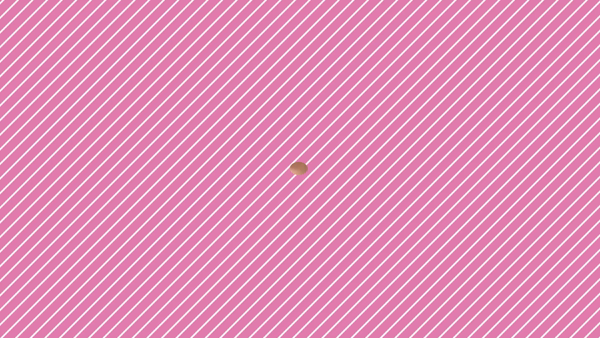 LOVEキタ兎我野店に在籍する女の子のお仕事紹介動画
