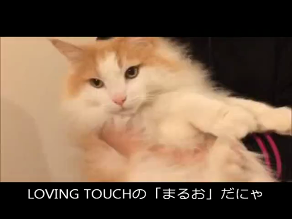 LovingTouch 広島店の求人動画