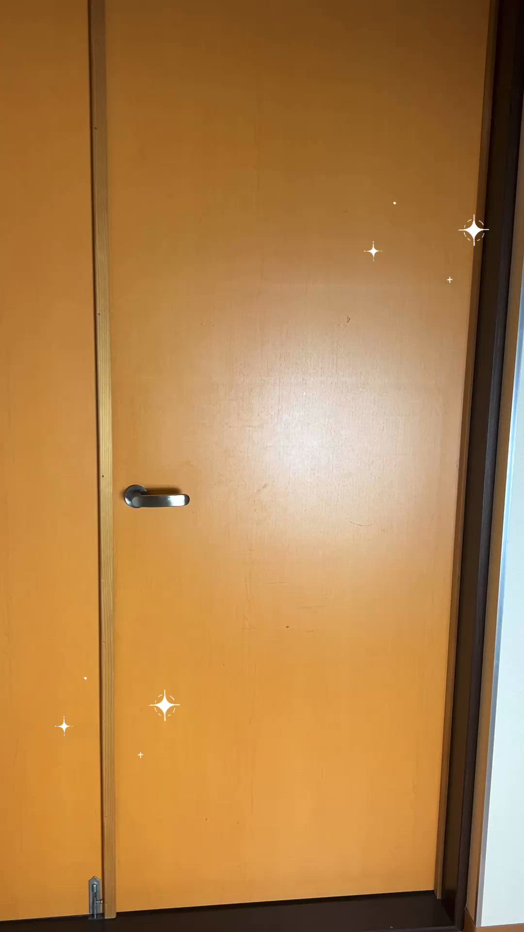 マシェリネクストのお仕事解説動画