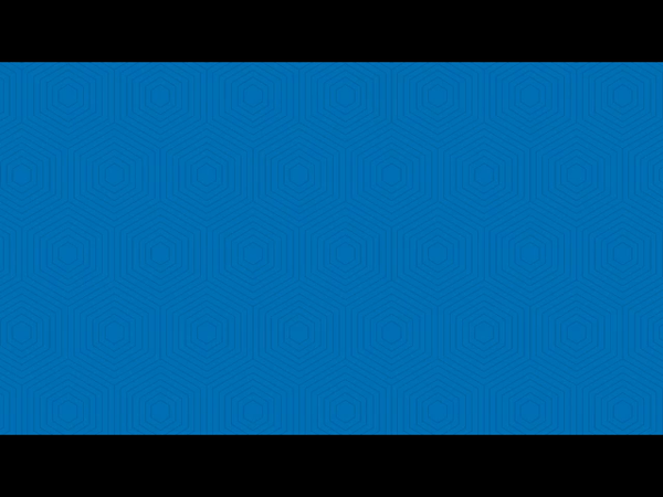 マハラジャの求人動画