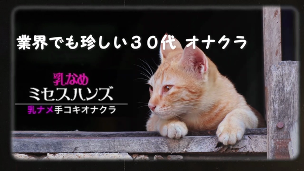 ミセスハンズ（ｺﾞｰﾙﾄﾞﾊﾝｽﾞｸﾞﾙｰﾌﾟ）のお仕事解説動画