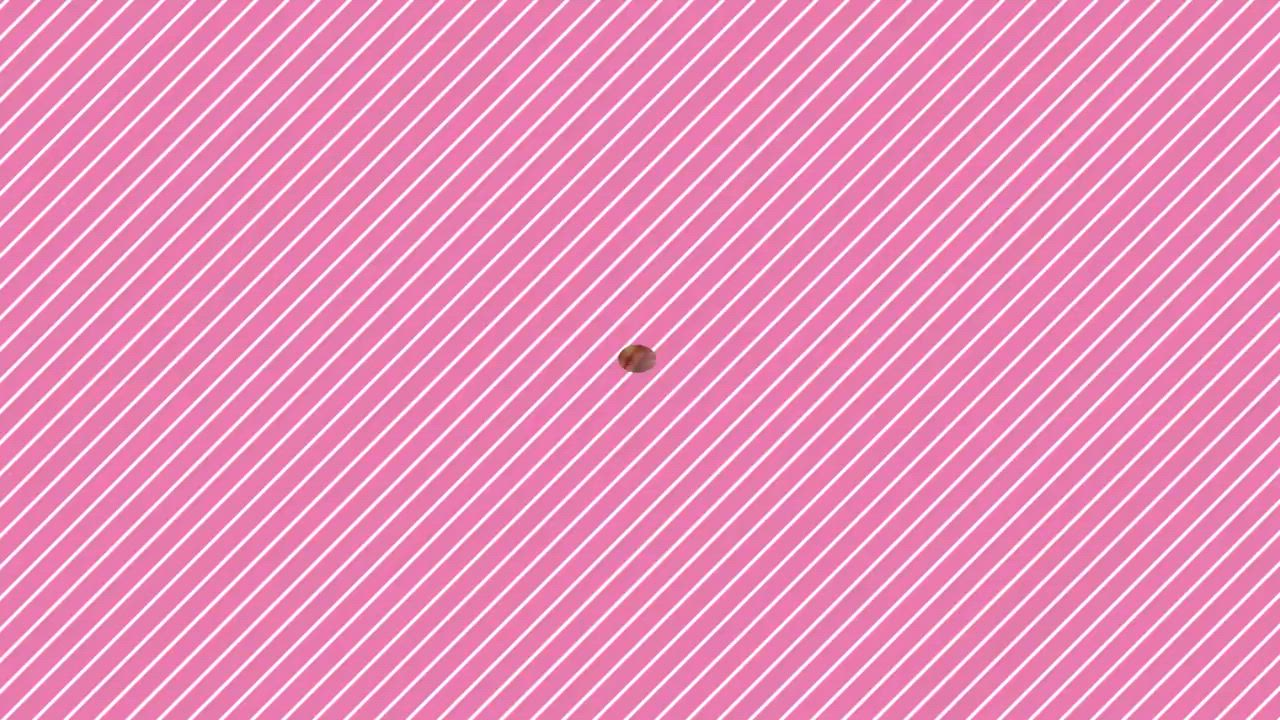 萌えコスのお仕事解説動画