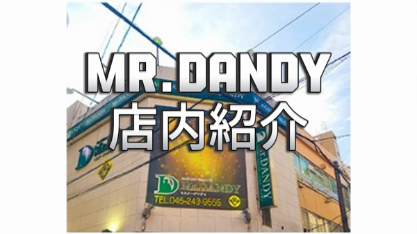 ミスターダンディーのお仕事解説動画