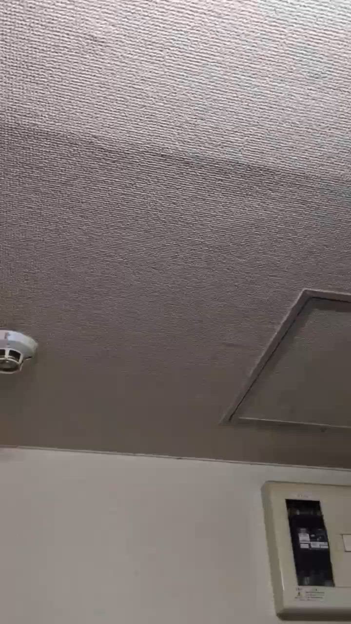 ｍSS 僕と2人の御主人様達のお仕事解説動画