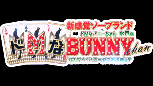 ドMなバニーちゃん水戸のお仕事解説動画