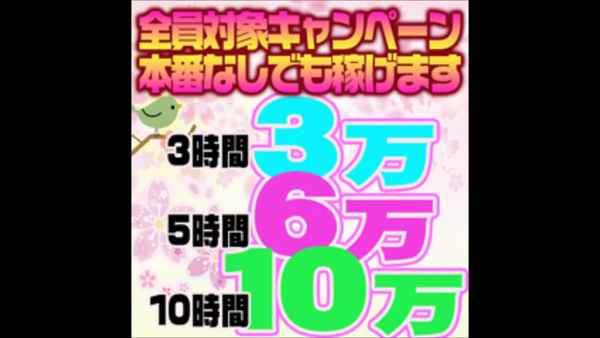 萌え!波の上女学院の求人動画