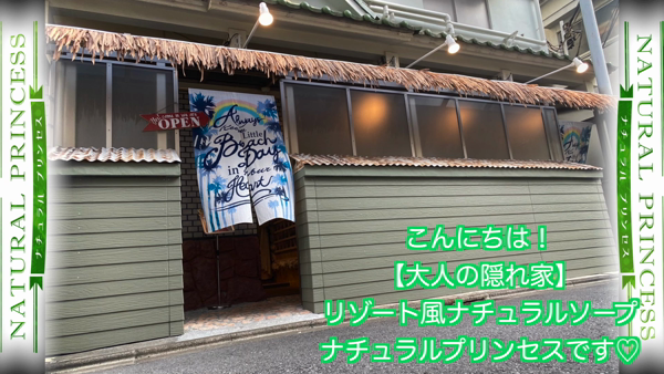ナチュラルプリンセスのお仕事解説動画