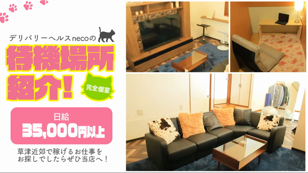 デリバリーヘルス necoの求人動画