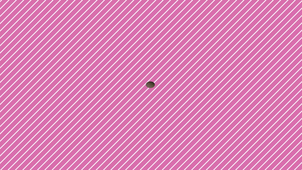 ニュークラブキスミーに在籍する女の子のお仕事紹介動画
