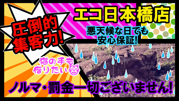 エコ 日本橋店のお仕事解説動画