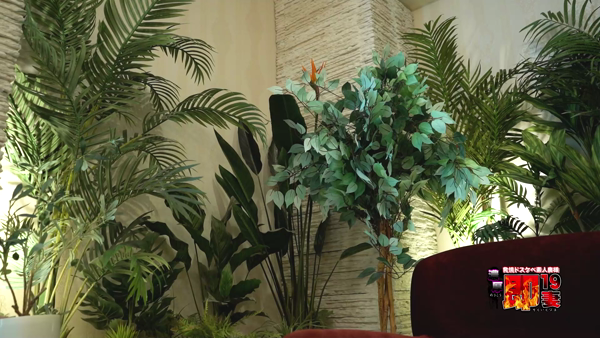 濃厚 即19妻(秋コスグループ)のスタッフによるお仕事紹介動画