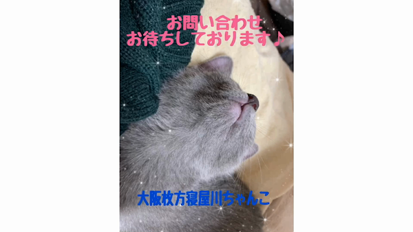 大阪枚方寝屋川ちゃんこのお仕事解説動画