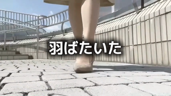 オッジのお仕事解説動画