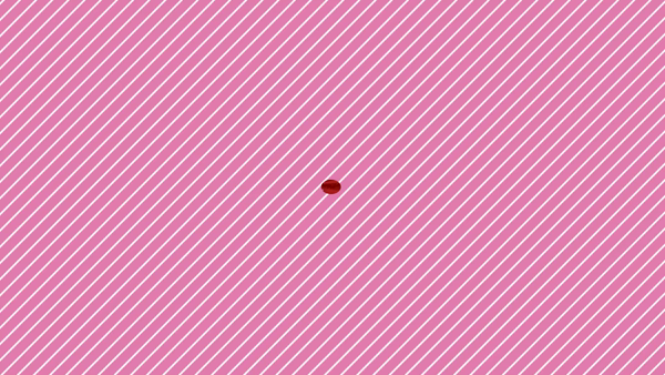 個室浴場おねだり別府に在籍する女の子のお仕事紹介動画