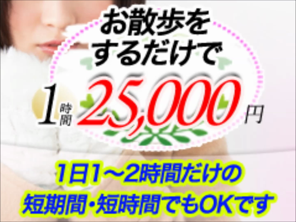 ワンデー彼女 ドリームの求人動画