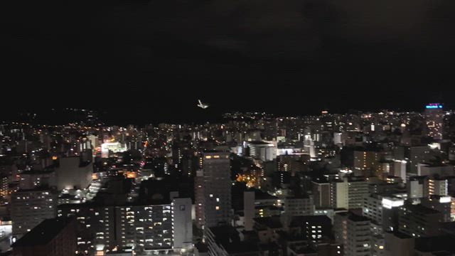 お姉さんLABOの求人動画