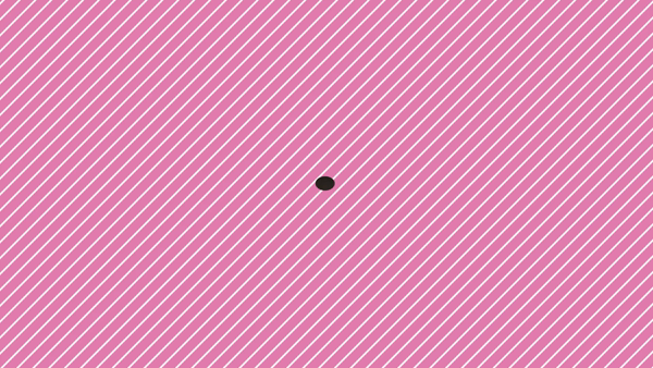 お姉京都（京都グループ）に在籍する女の子のお仕事紹介動画