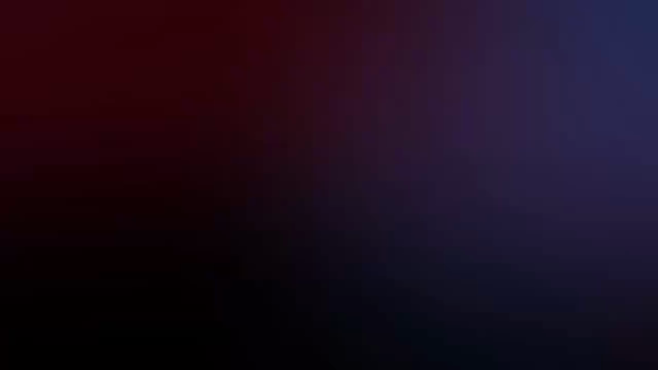 okinawa -銀ノ翼-のお仕事解説動画