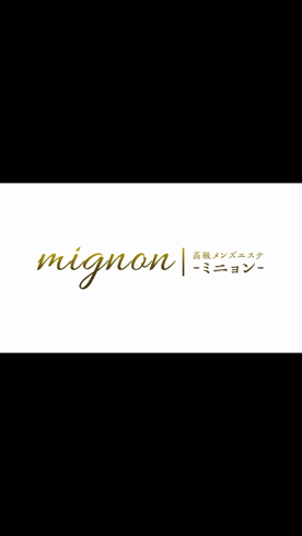 ミニョンのお仕事解説動画
