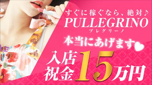 プレグリーノのお仕事解説動画