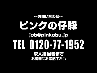 ピンクの仔豚の求人動画