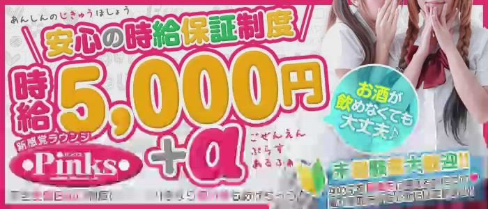 CLUB PINKSのお仕事解説動画
