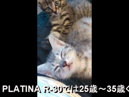 PLATINA R-30(札幌YESグループ)のお仕事解説動画