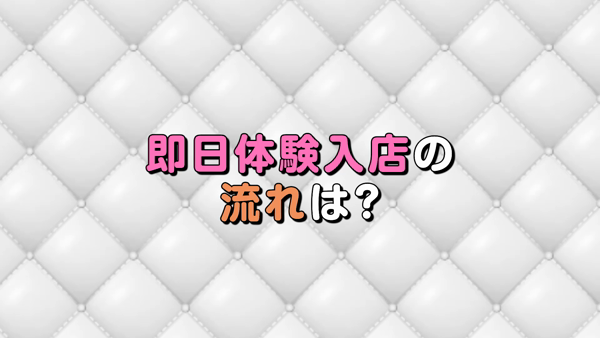 Platinum Ladyのお仕事解説動画